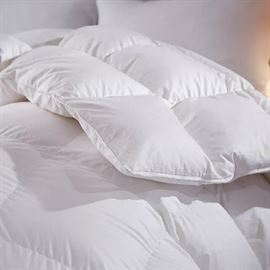 שמיכת פוך נוצות יחיד 150*200 מבית תודן מעודפים homeford